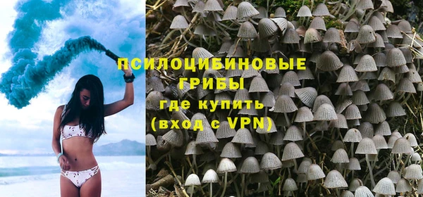 ALPHA PVP Алексеевка