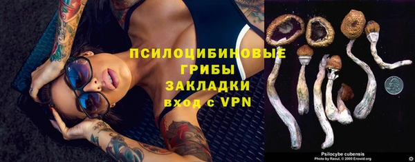 ALPHA PVP Алексеевка