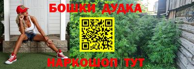не бодяженный Гатчина