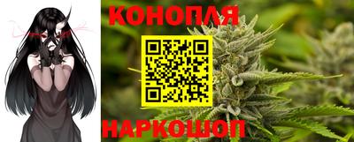 не бодяженный Гатчина