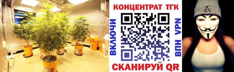 ТГК THC oil Канаш