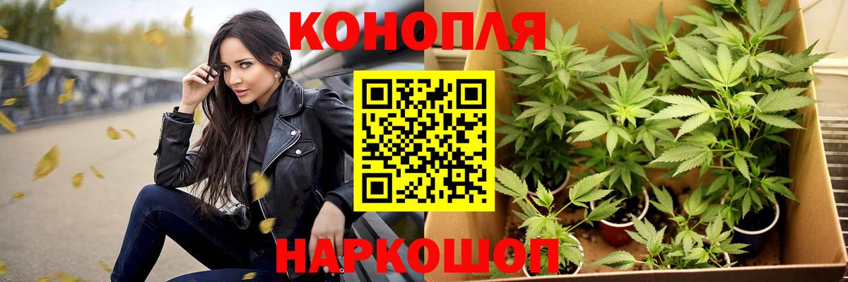 МАРИХУАНА индика Канаш
